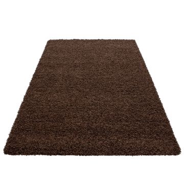 Dream Shaggy tapis poils longs rectangle 65x130cm brun