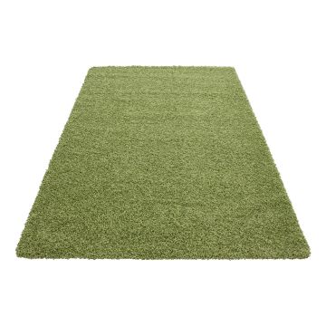 Dream Shaggy tapis poils longs rectangle 65x130cm vert