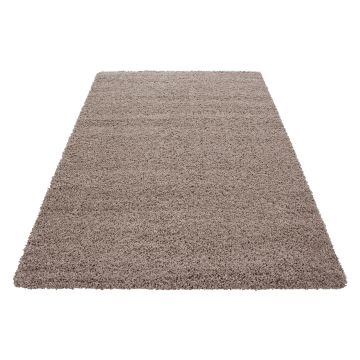 Dream Shaggy tapis poils longs rectangle 65x130cm beige