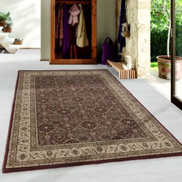 Kashmir Hereke tapis poils ras rectangle 240x340cm rouge