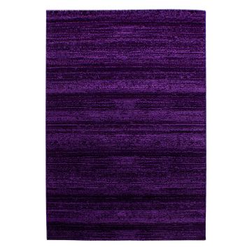 Plus tapis poils ras rectangle 240x340cm lilas