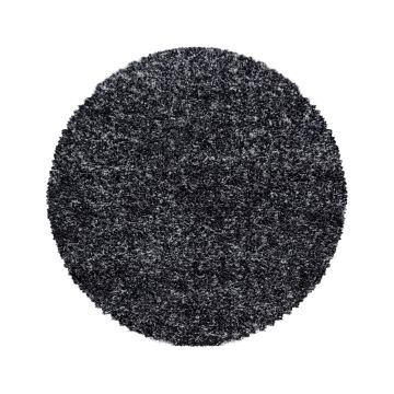 Enjoy Shaggy tapis poils longs rond Ø 160cm anthracite