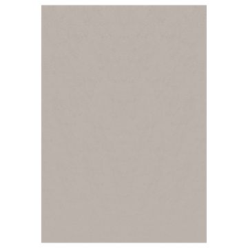 Sky tapis poils ras rectangle 140x200cm beige