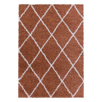 Alvor Shaggy tapis poils longs rectangle 60x110cm terra