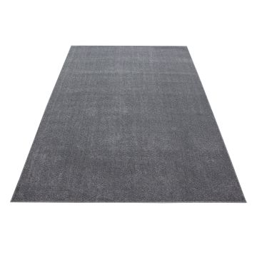 Ata tapis poils ras rectangle 160x230cm gris clair