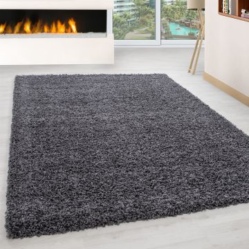 Life Shaggy tapis poils longs rectangle 300x400cm gris