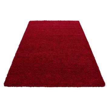 Life Shaggy tapis poils longs rectangle 300x400cm rouge