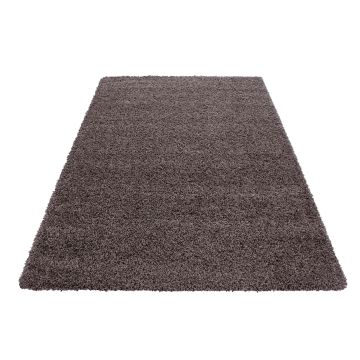 Life Shaggy tapis poils longs rectangle 300x400cm taupe