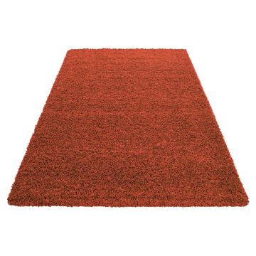 Life Shaggy tapis poils longs rectangle 300x400cm terra