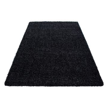 Dream Shaggy tapis poils longs rectangle 65x130cm anthracite