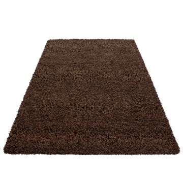 Dream Shaggy tapis poils longs rectangle 80x150cm brun