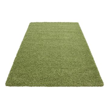 Dream Shaggy tapis poils longs rectangle 160x230cm vert