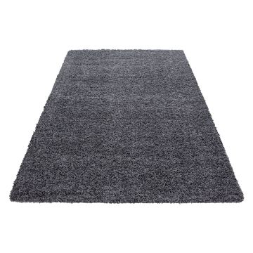 Dream Shaggy tapis poils longs rectangle 65x130cm gris