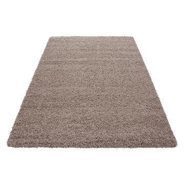 Dream Shaggy tapis poils longs rectangle 80x150cm beige