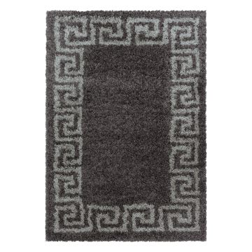 Hera Shaggy tapis poils longs rectangle 120x170cm taupe