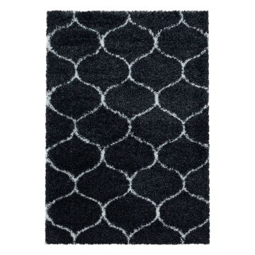 Salsa Shaggy tapis poils longs rectangle 120x170cm anthracite