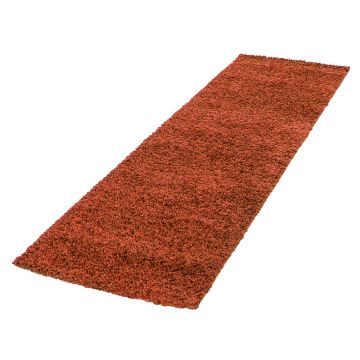 Life Shaggy tapis poils longs coureur 80x250cm terra