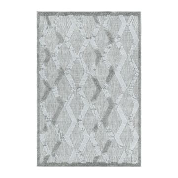 Bahama Xury tapis extérieur/intérieur poils longs/ras rectangle 240x340cm gris