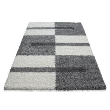 Gala Shaggy tapis poils longs rectangle 80x150cm gris clair