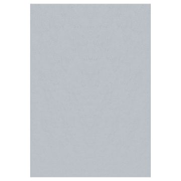 Sky tapis poils ras coureur 60x110cm argent