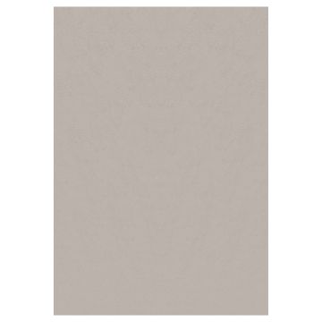 Sky tapis poils ras coureur 60x110cm beige